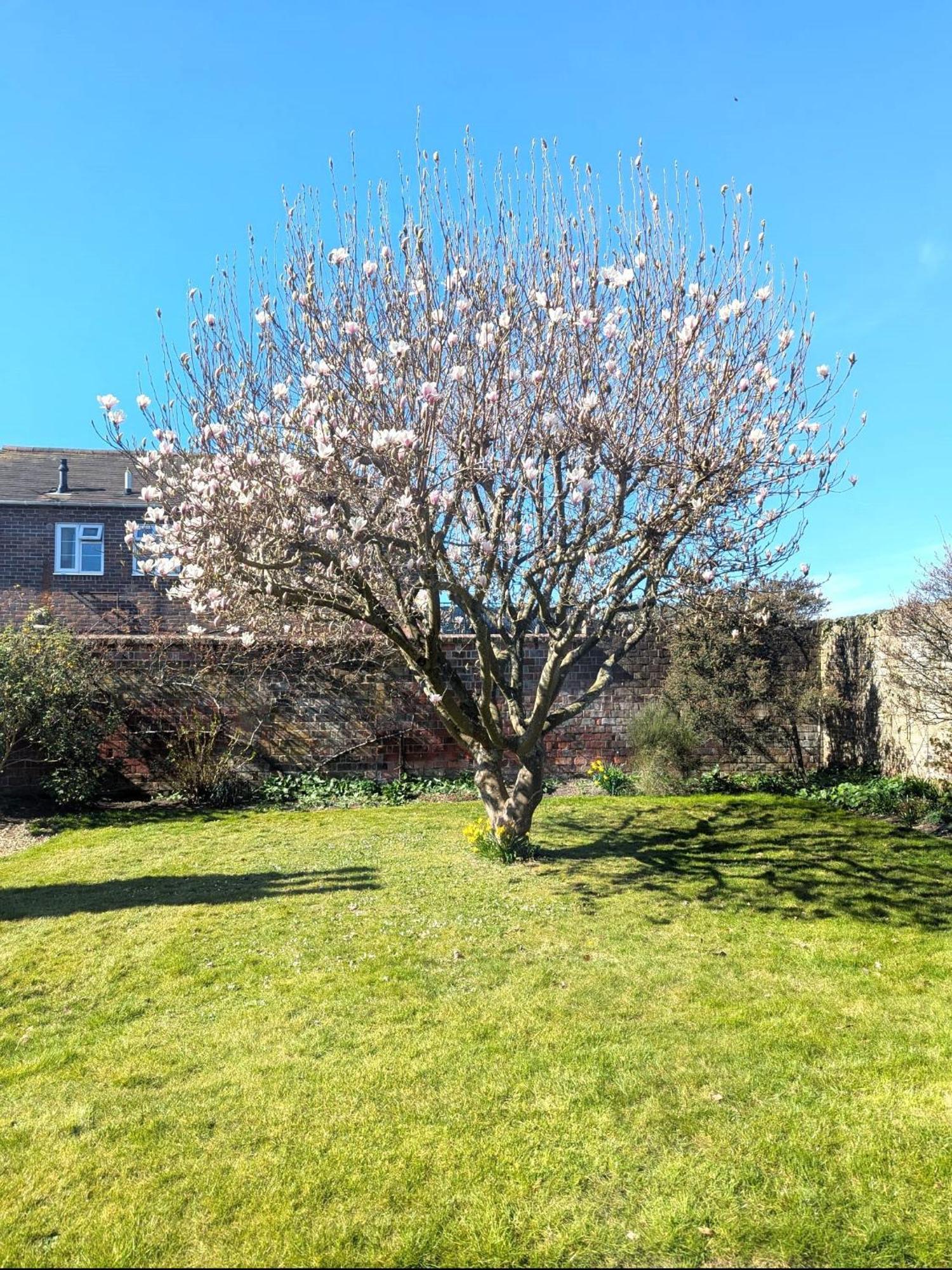 Georgian 2 Bedroom Apartment In Chichester With Free Parking - Chichester Holiday Properties Екстериор снимка
