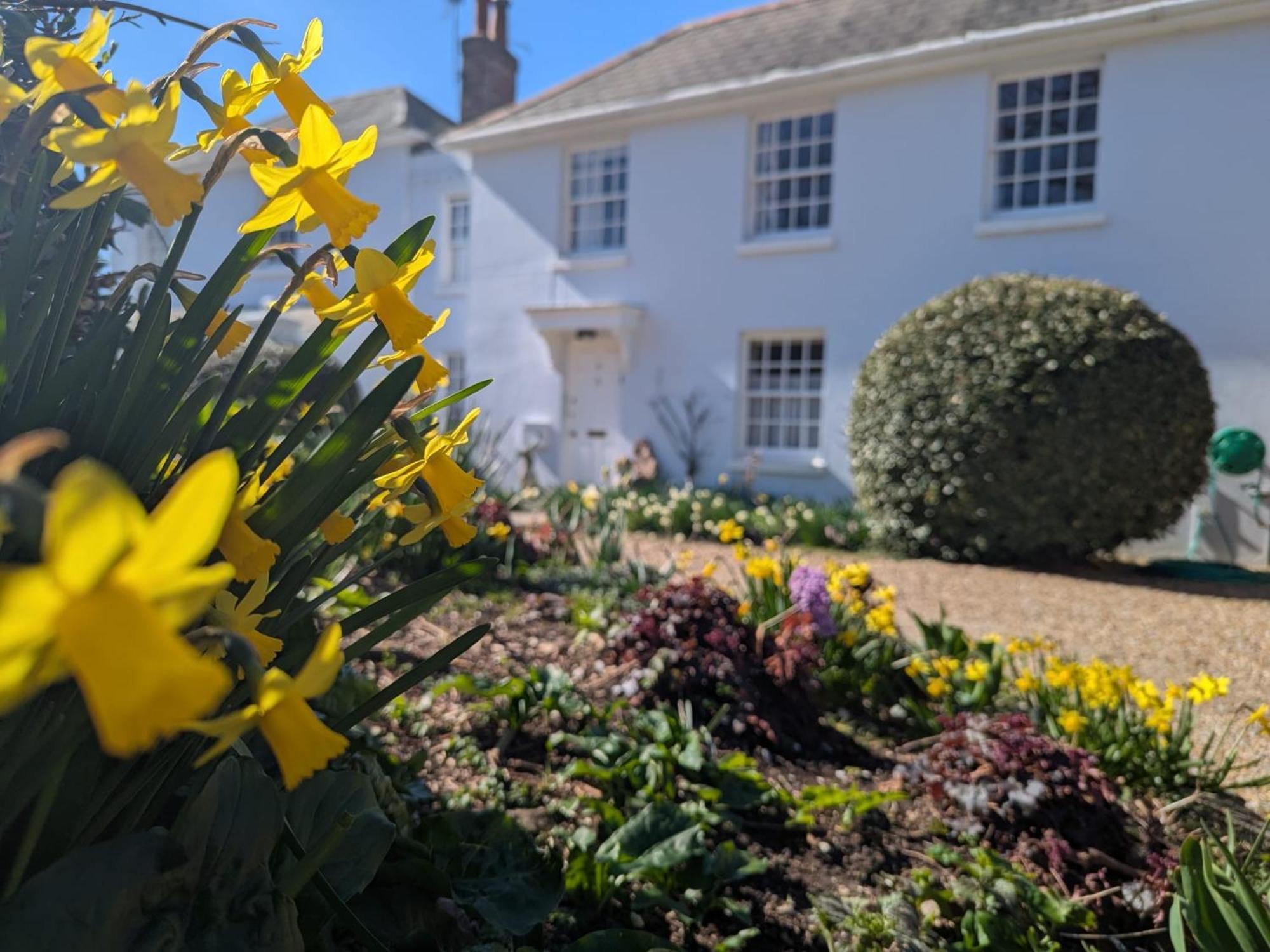 Georgian 2 Bedroom Apartment In Chichester With Free Parking - Chichester Holiday Properties Екстериор снимка